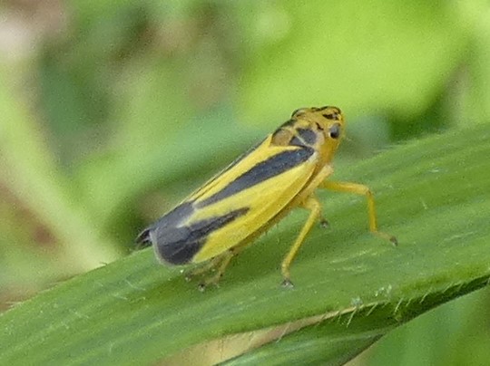 photo_2